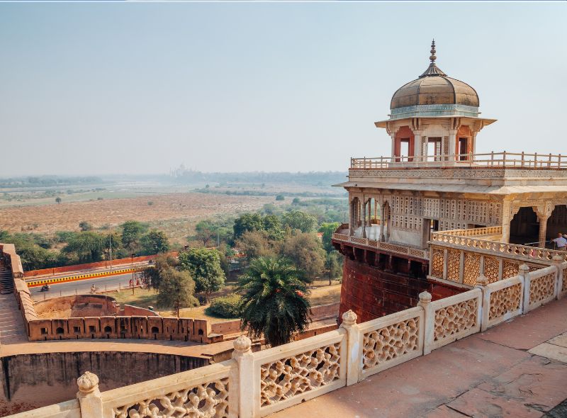 agrafort8