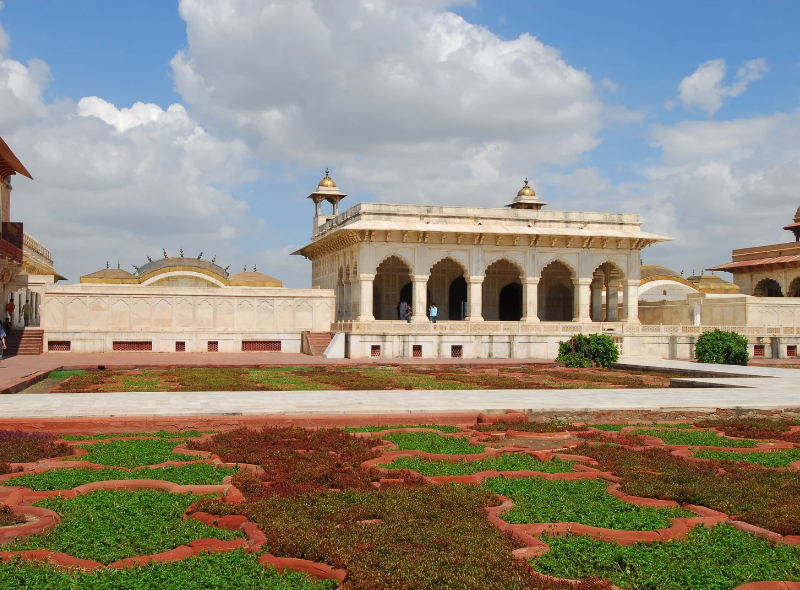 Taj Mahal Tour with Etawah Lion Safari (1)